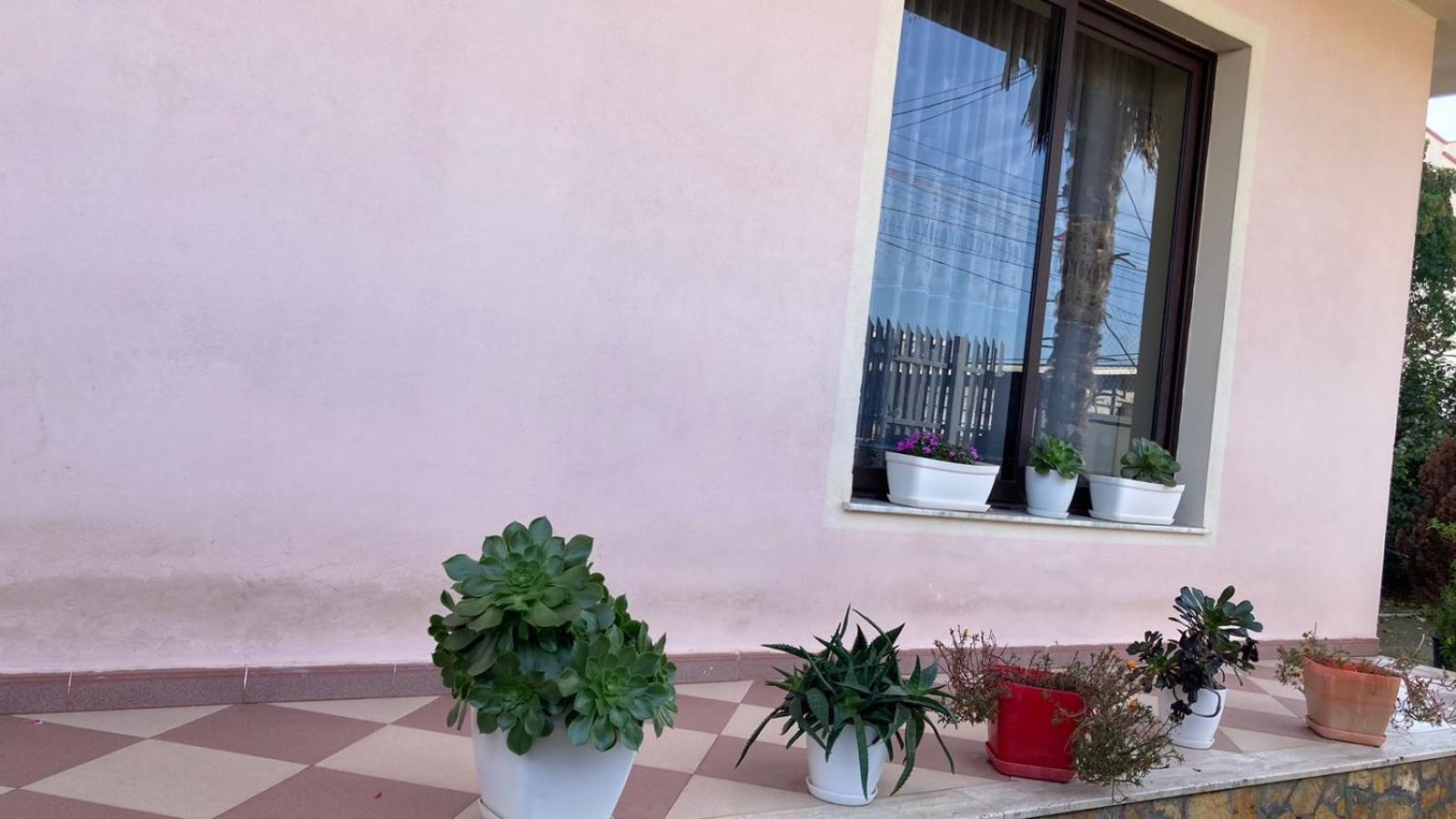 Blissful Hostel Shkodra Kültér fotó